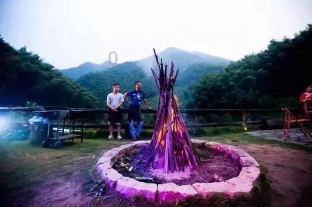 寻找沙漠珍宝